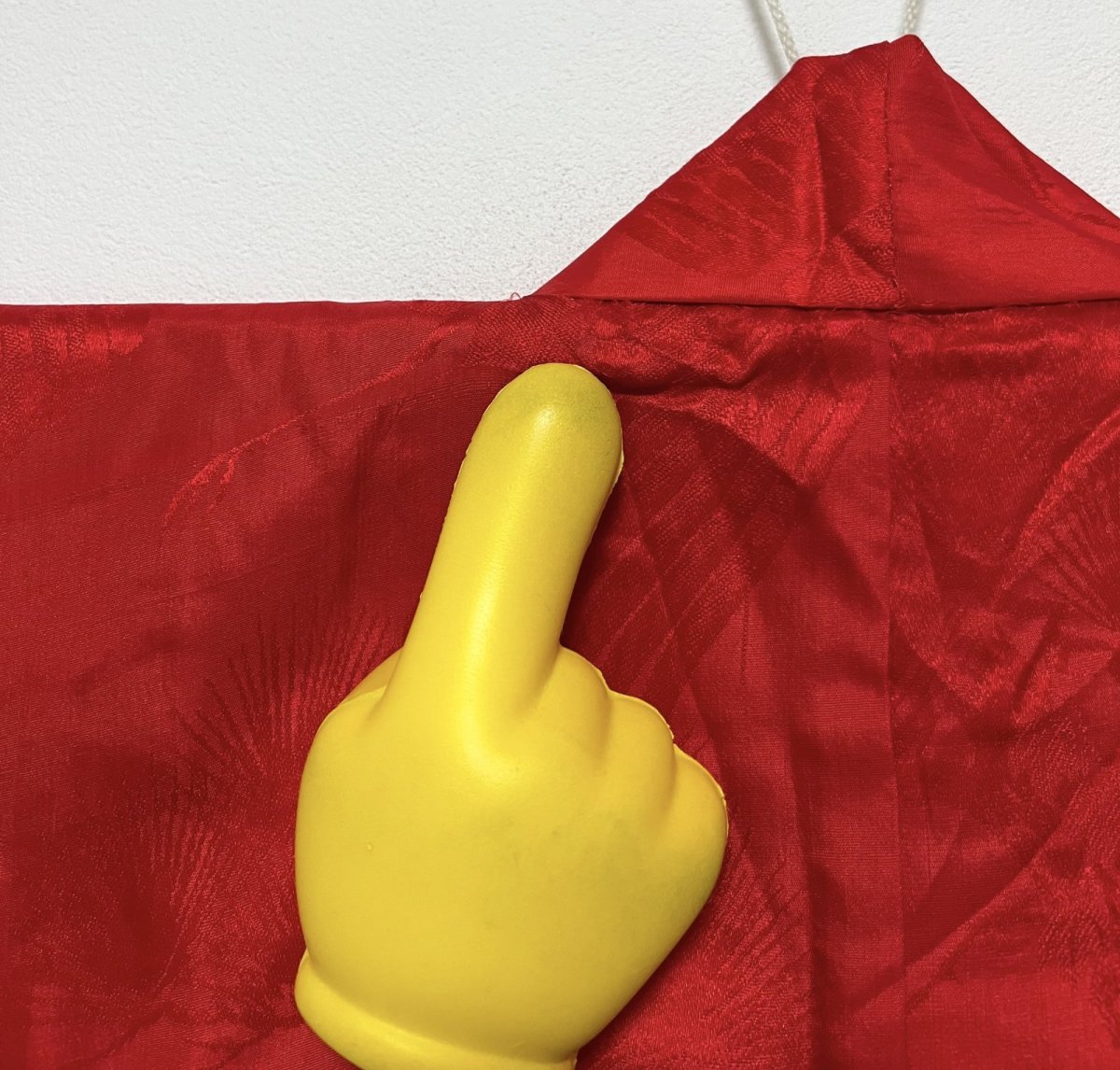 画像9: 正絹 / アンティーク振袖用長襦袢 / 綸子 / 松に飛鶴  (9)